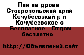 Пни на дрова - Ставропольский край, Кочубеевский р-н, Кочубеевское с. Бесплатное » Отдам бесплатно   